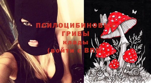 эйфоретик Алзамай