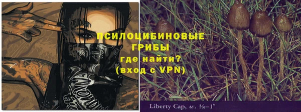 эйфоретик Алзамай