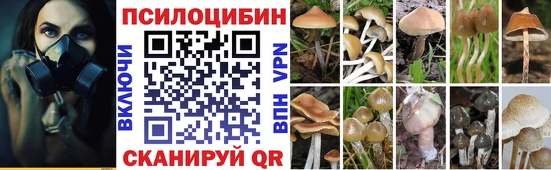 цена Зима Псилоцибиновые грибы Magic Shrooms